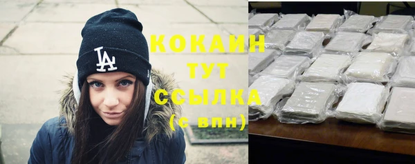 ГАЛЛЮЦИНОГЕННЫЕ ГРИБЫ Верея