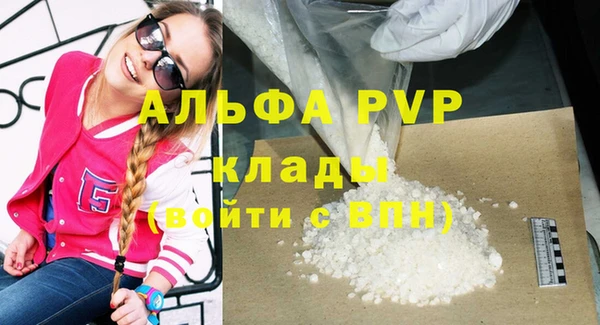 ГАЛЛЮЦИНОГЕННЫЕ ГРИБЫ Верея