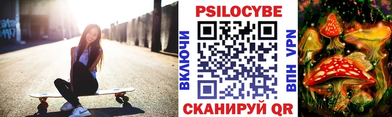 Галлюциногенные грибы Psilocybe  Дальнереченск 