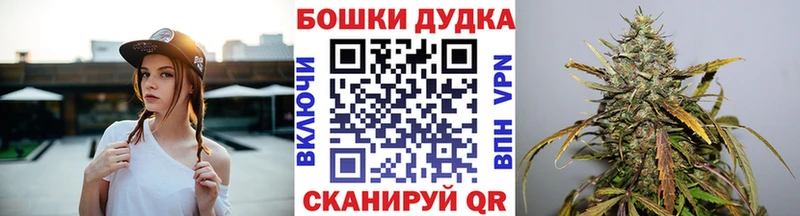 Бошки марихуана сатива  Дальнереченск 